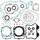 Complete Gasket Kit with Oil Seals WINDEROSA CGKOS 811339