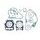 Celoten set tesnil za motor ATHENA P400485850078
