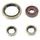 Engine Oil Seal Kit WINDEROSA EOSK 822374