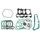 Set tesnil motorja RMS 100684210