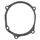 Ignition cover gasket WINDEROSA ICG 817655