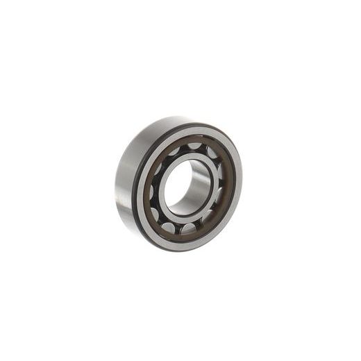 BEARING SKF MR300620160J3