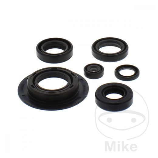 SET TESNIL MOTORJA ZA OLJE (ENGINE OIL SEALS KIT) TOURMAX