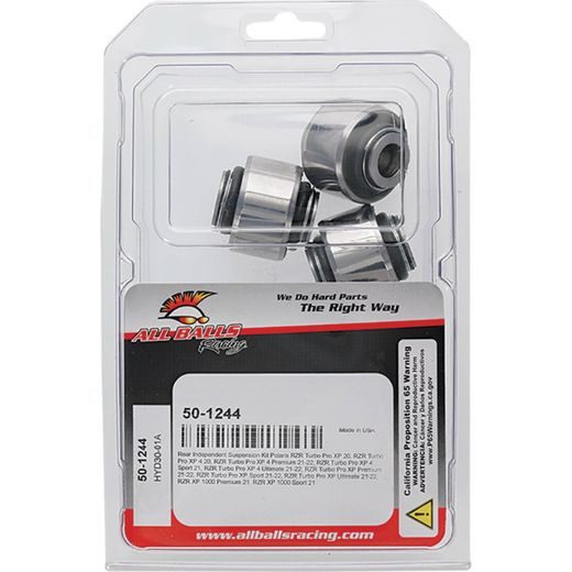 REAR INDEPENDENT SUSPENSION KIT ALL BALLS RACING RIS50-1244