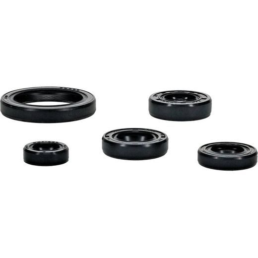 ENGINE OIL SEAL KIT WINDEROSA 822994