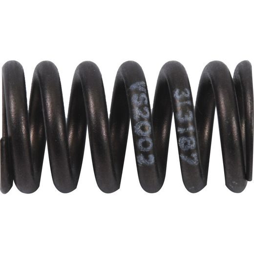 VALVE SPRING KIT HOT CAMS VSK2002