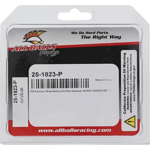 WHEEL BEARING KIT ALL BALLS RACING WB25-1823-P