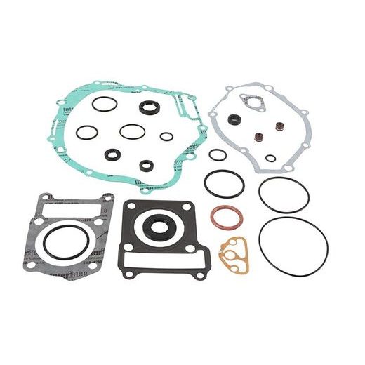 COMPLETE GASKET KIT WITH OIL SEALS WINDEROSA CGKOS 811977