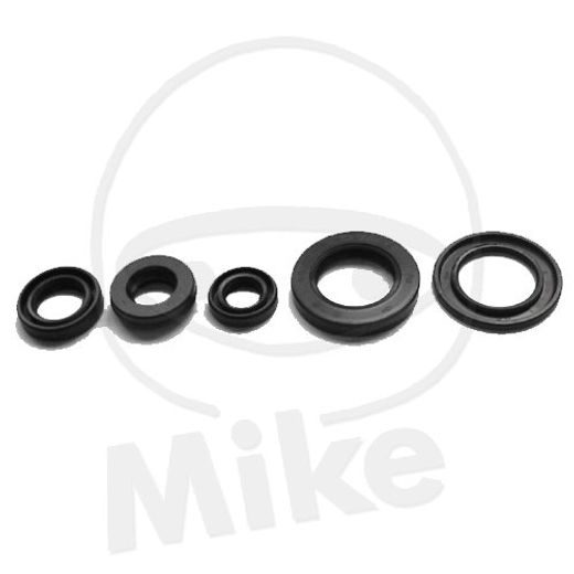 SET TESNIL MOTORJA ZA OLJE (ENGINE OIL SEALS KIT) TOURMAX