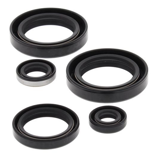 ENGINE OIL SEAL KIT WINDEROSA EOSK 822244