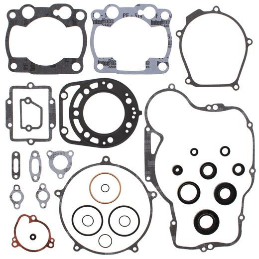 COMPLETE GASKET KIT WITH OIL SEALS WINDEROSA CGKOS 811454