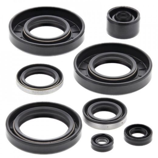 ENGINE OIL SEAL KIT WINDEROSA 822293