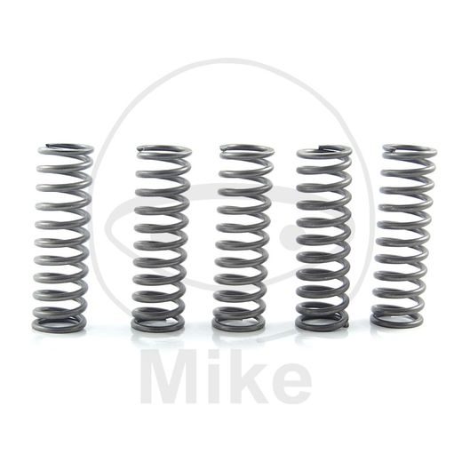 CLUTCH SPRING KIT EBC CSK169 5