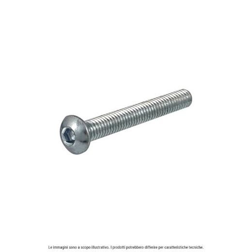 HEXAGONAL SOCKET HEAD SCREW RMS 121850570 ISO 7380 M8X30