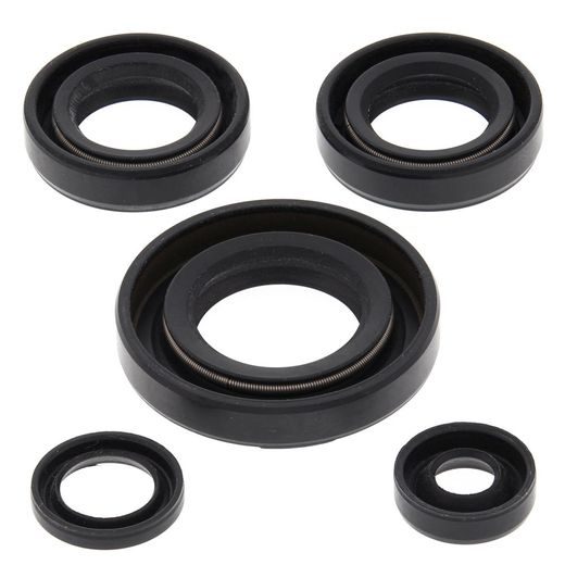 ENGINE OIL SEAL KIT WINDEROSA EOSK 822230