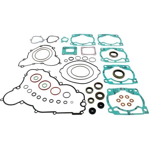 COMPLETE GASKET KIT WINDEROSA CGKOS 8110062 WITH SEALS