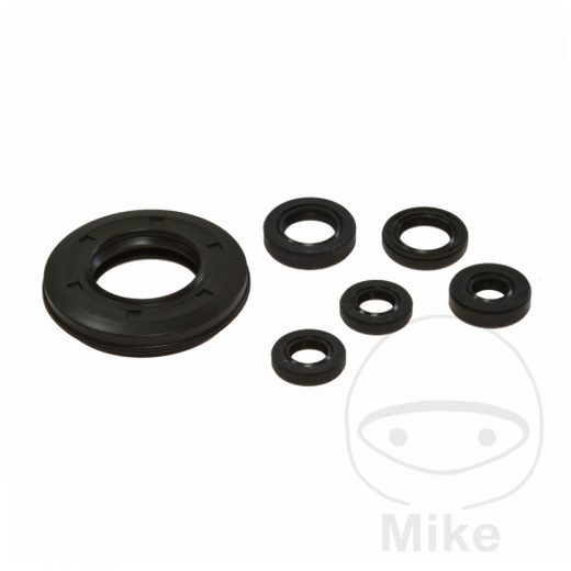 SET TESNIL MOTORJA ZA OLJE (ENGINE OIL SEALS KIT) TOURMAX