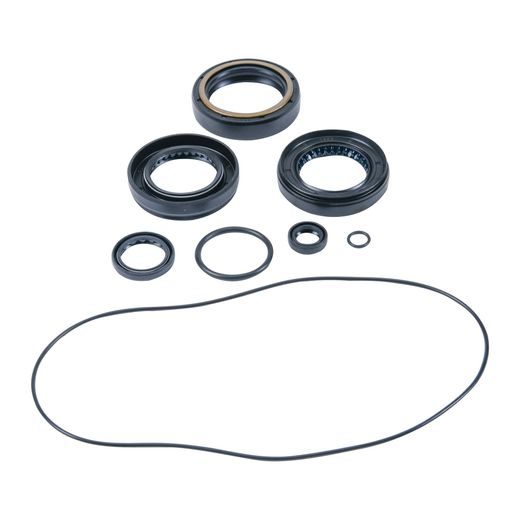 DIFFERENTIAL SEAL ONLY KIT ALL BALLS RACING DB25-2136-5 SPREDAJ