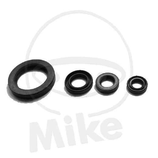 SET TESNIL MOTORJA ZA OLJE (ENGINE OIL SEALS KIT) TOURMAX