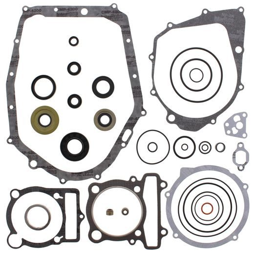 COMPLETE GASKET KIT WITH OIL SEALS WINDEROSA CGKOS 811813