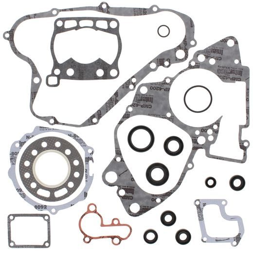 COMPLETE GASKET KIT WITH OIL SEALS WINDEROSA CGKOS 811502