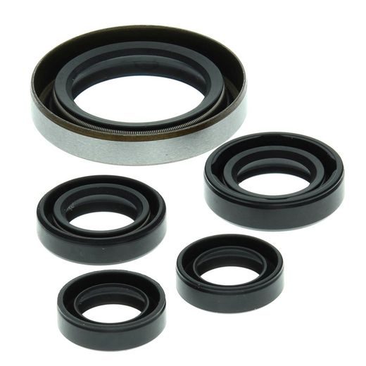 ENGINE OIL SEAL KIT WINDEROSA EOSK 822249