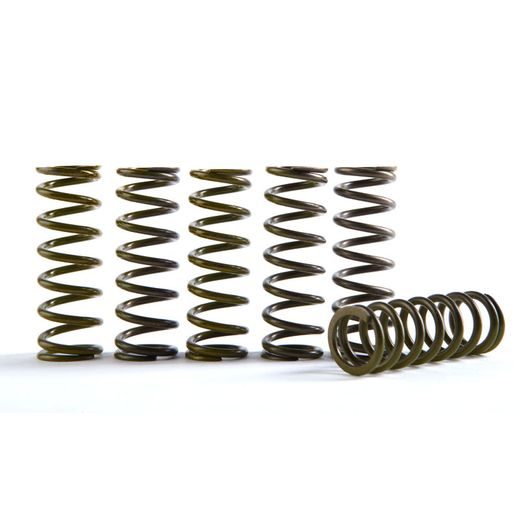 HI-TEMP CLUTCH SPRING KIT HINSON CS755-6-0116 (SET OF 6)