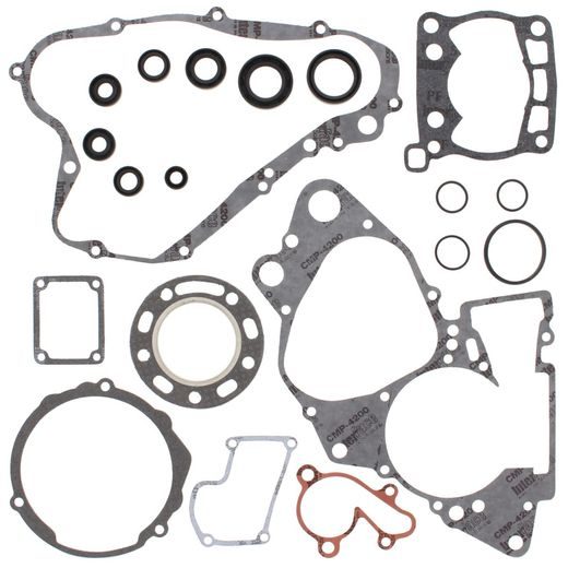 COMPLETE GASKET KIT WITH OIL SEALS WINDEROSA CGKOS 811543