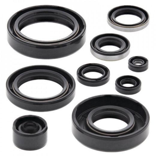 ENGINE OIL SEAL KIT WINDEROSA 822294