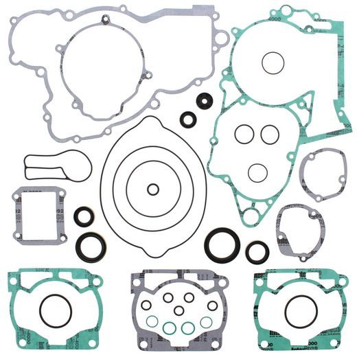 COMPLETE GASKET KIT WITH OIL SEALS WINDEROSA CGKOS 811324