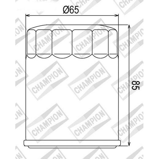 OLJNI FILTER CHAMPION COF048 100609685