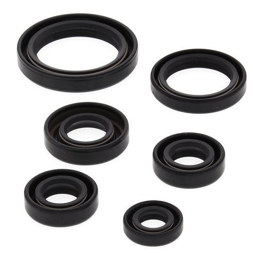 ENGINE OIL SEAL KIT WINDEROSA EOSK 822241