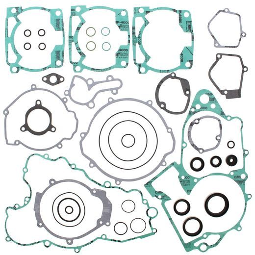 COMPLETE GASKET KIT WITH OIL SEALS WINDEROSA CGKOS 811306