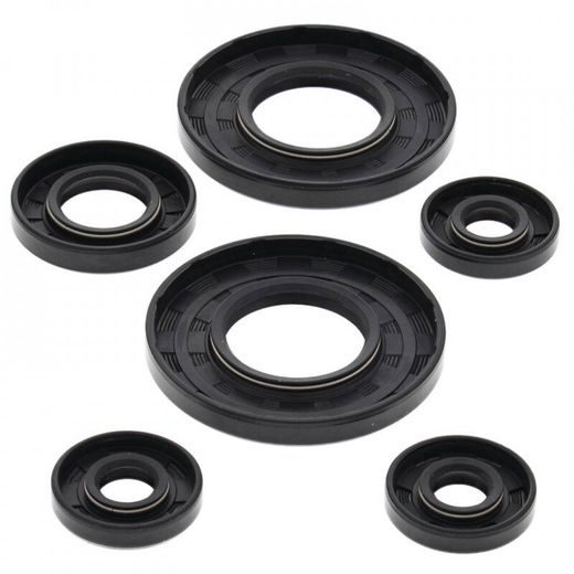 ENGINE OIL SEAL KIT WINDEROSA EOSK 55101
