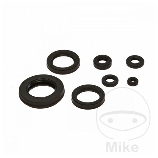 SET TESNIL MOTORJA ZA OLJE (ENGINE OIL SEALS KIT) TOURMAX