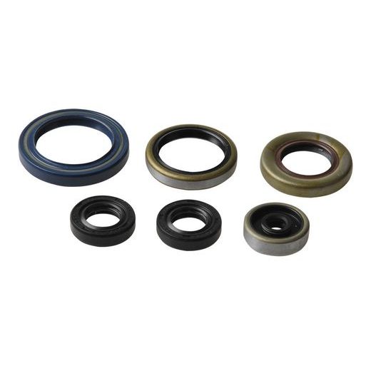 SET TESNIL MOTORJA ZA OLJE (ENGINE OIL SEALS KIT) ATHENA P400270400013