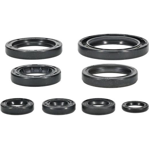 ENGINE OIL SEAL KIT WINDEROSA 822996