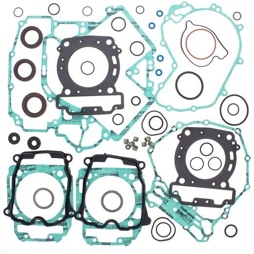 COMPLETE GASKET KIT WITH OIL SEALS WINDEROSA CGKOS 811954