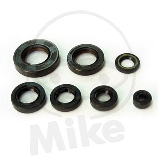 SET TESNIL MOTORJA ZA OLJE (ENGINE OIL SEALS KIT) TOURMAX