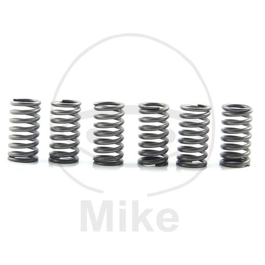 CLUTCH SPRING KIT EBC CSK167 6