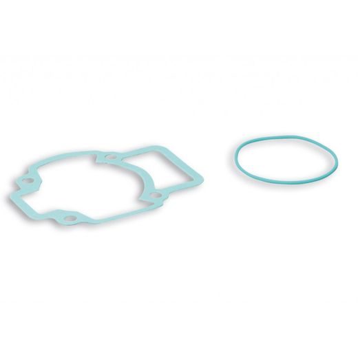 GASKET KIT 40-47,6 MALOSSI 117570