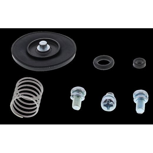 ACCELERATION PUMP REBUILD KIT ALL BALLS RACING AP46-3001