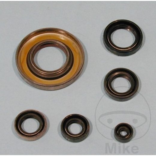 SET TESNIL MOTORJA ZA OLJE (ENGINE OIL SEALS KIT) TOURMAX