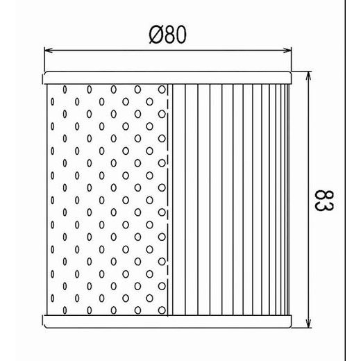 OLJNI FILTER CHAMPION COF026 100609945