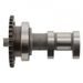 CAMSHAFT EXHAUST HOT CAMS 2201-1E