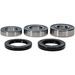 WHEEL BEARING KIT ALL BALLS RACING WB25-1823