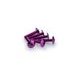 SCREWS PUIG ANODIZED 3995L VIOLET M6 X 30MM (6PCS)