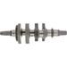 CRANKSHAFT HOT RODS 4421