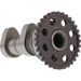 CAMSHAFT INTAKE HOT CAMS 4163-1IN