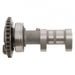 CAMSHAFT EXHAUST HOT CAMS 4281-2E